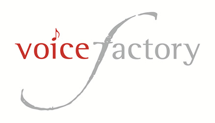 Musikschule Schlüchtern Voice Factory
